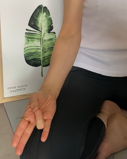 Méditation : pratique et conseils&nbsp;essentiels